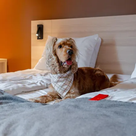 Hotel Citybox