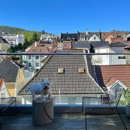 Citybox فندق برغن